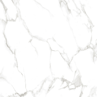 2229-11 SPC Wall Panel กันน้ำ